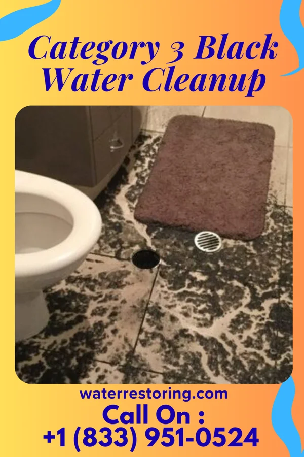 Category 3 Black Water Cleanup in Glendale, MO